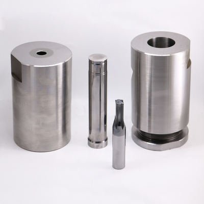 Customized Tungsten Carbide Or HSS Punching Mold Components Packaged In Cartons